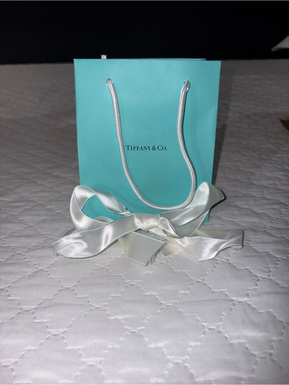 Tiffany & Co. Robin's Egg Blue Shopping Bag with White Ribbon